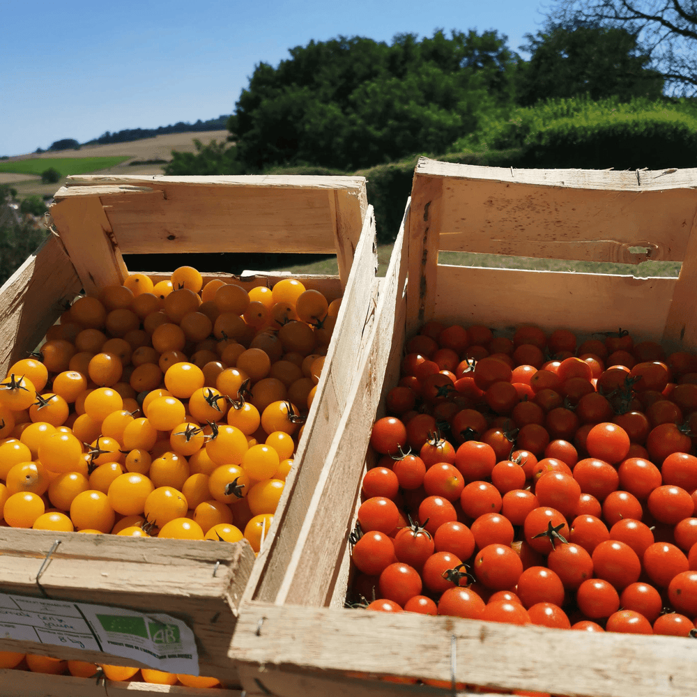 Tomates cerises - 500g - Neary - Légumes - Livraison à domicile