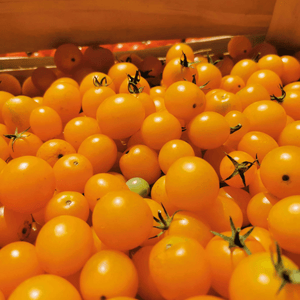 Tomates cerises - 500g - Neary - Légumes - Livraison à domicile Nancy Metz