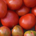 Tomates rondes rouges BIO - 1kg - La ferme de Domangeville - Légumes - Livraison à domicile Nancy Metz